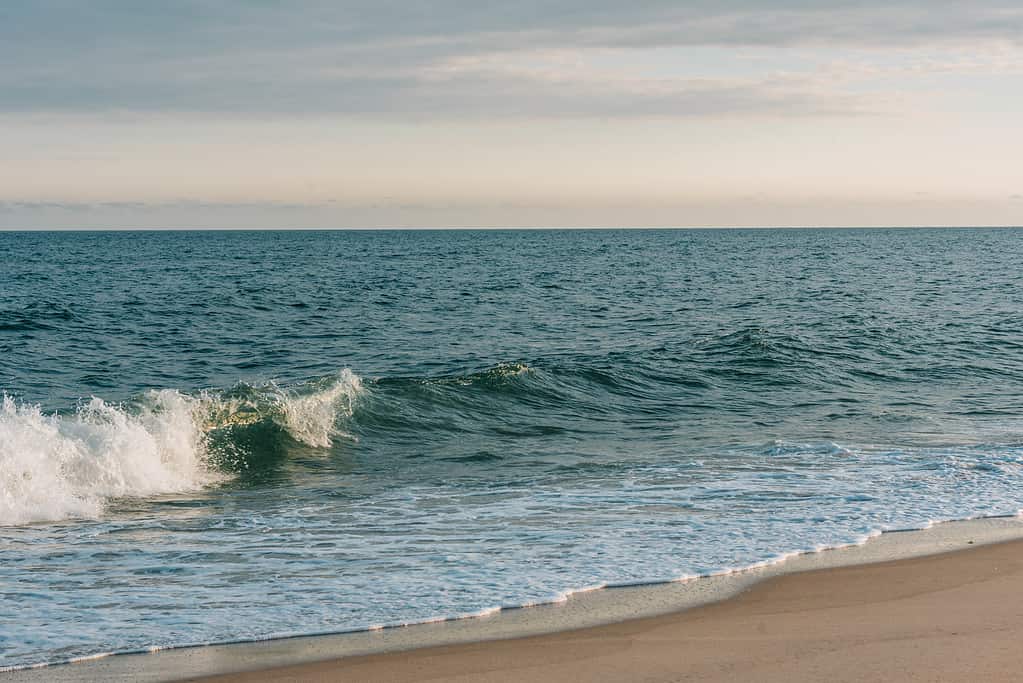 ocean